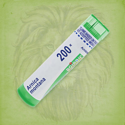 Buy 80 pellets of Arnica Montana 200x ~ UPC 306960075226 by Boiron at House of Greco