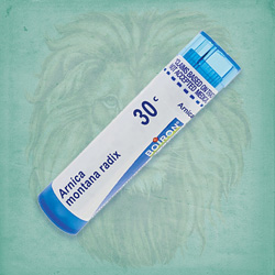 Buy 80 pellets of Arnica Montana Radix 30c ~ UPC 306960074137 by Boiron at House of Greco
