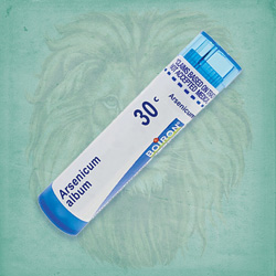 Buy 80 pellets of Arsenicum Album 30c ~ UPC 306960076131 by Boiron at House of Greco
