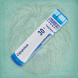 Buy 80 pellets of Cajuputum 30c ~ UPC 306960121138 by Boiron at House of Greco