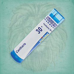 Buy 80 pellets of Cantharis 30c ~ UPC 306960163138 by Boiron at House of Greco