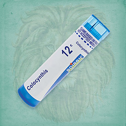 Buy 80 pellets of Colocynthis 12c ~ UPC 306960227113 by Boiron at House of Greco