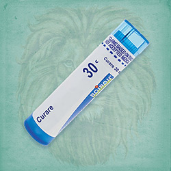 Buy 80 pellets of Curare 30c ~ UPC 306960257134 by Boiron at House of Greco