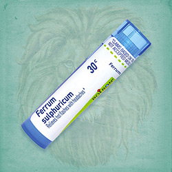 Buy 80 pellets of Ferrum Sulphuricum 30c ~ UPC 306960308133 by Boiron at House of Greco