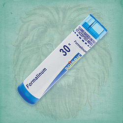 Buy 80 pellets of Formalinum 30c ~ UPC 306961058136 by Boiron at House of Greco