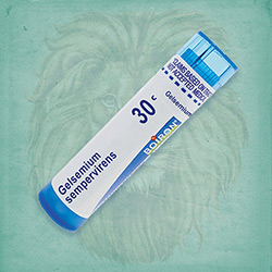 Buy 80 pellets of Gelsemium Sempervirens 30c ~ UPC 306960333135 by Boiron at House of Greco
