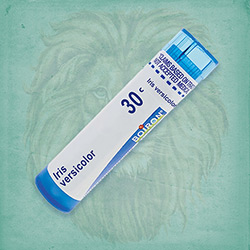 Buy 80 pellets of Iris Versicolor 30c ~ UPC 306960393139 by Boiron at House of Greco