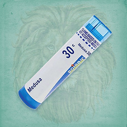 Buy 80 pellets of Medusa 30c ~ UPC 306960466130 by Boiron at House of Greco