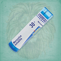 Buy 80 pellets of Mercurius Solubilis 30c ~ UPC 306960483137 by Boiron at House of Greco
