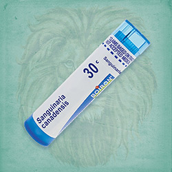 Buy 80 pellets of Sanguinaria Canadensis 30c ~ UPC 306960652137 by Boiron at House of Greco