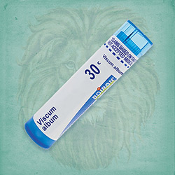 Buy 80 pellets of Viscum Album 30c ~ UPC 306960792130 by Boiron at House of Greco